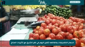 أسعار الخضراوات والفاكهة تتغير اليوم في كفر الشيخ مع تأثيرات المناخ